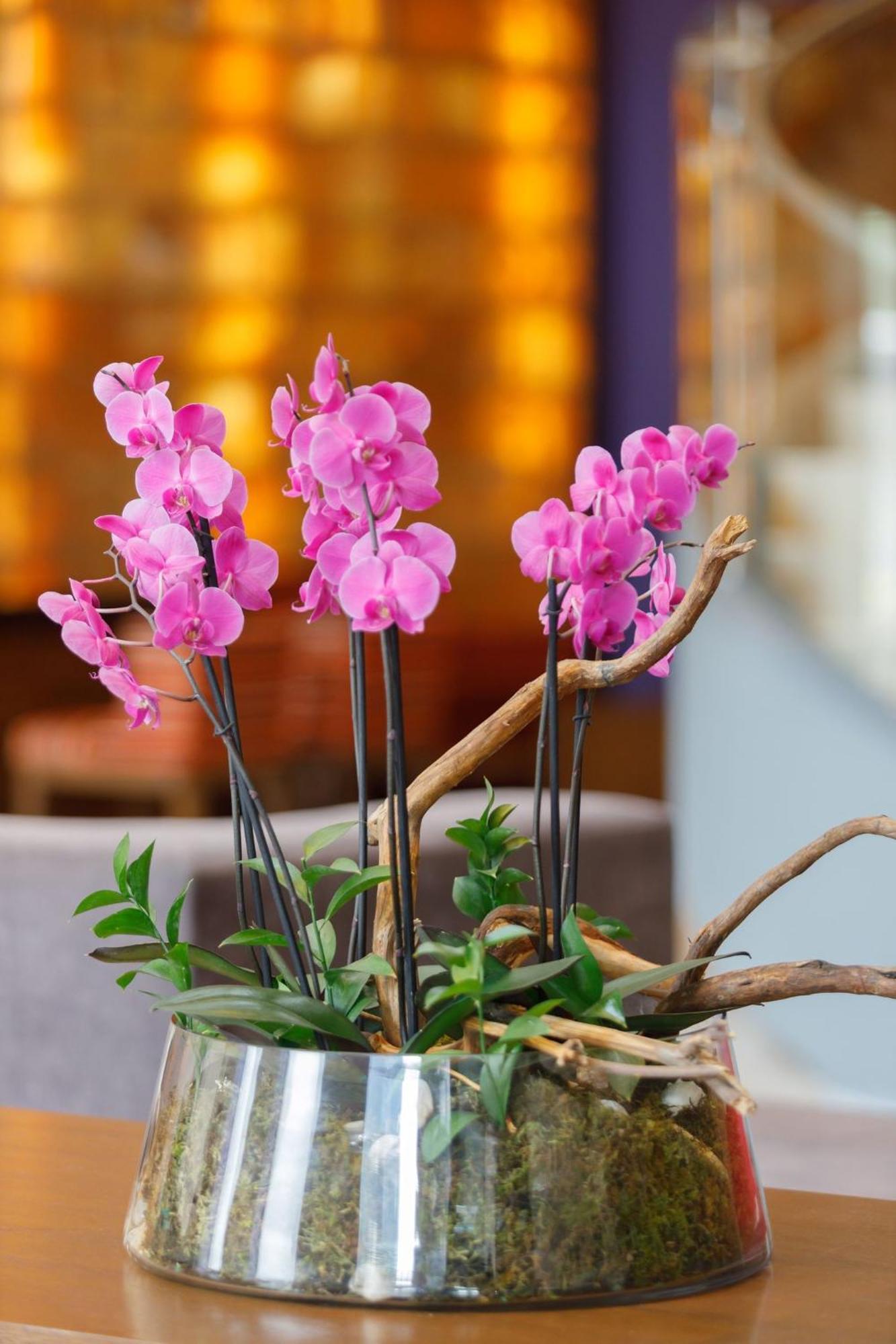 Camino Real Pedregal Mexico Hotel Ngoại thất bức ảnh Flower arrangement